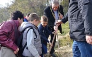  / Akcija pošumljavanja u zoni klizišta na području Općine Novo Sarajevo, FOTO: Novosarajevo.ba